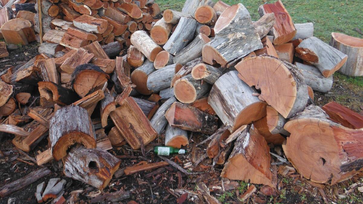 Did you know? Reasons for regulating firewood collection