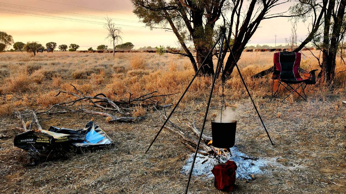 Early morning at a drovers camp near Blackall. Picture: Sally Gall
