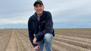 Joe Gibson, Tatyoon, completed the GO.FARM graduate program before going onto manage a cropping operation for the company. Picture supplied
