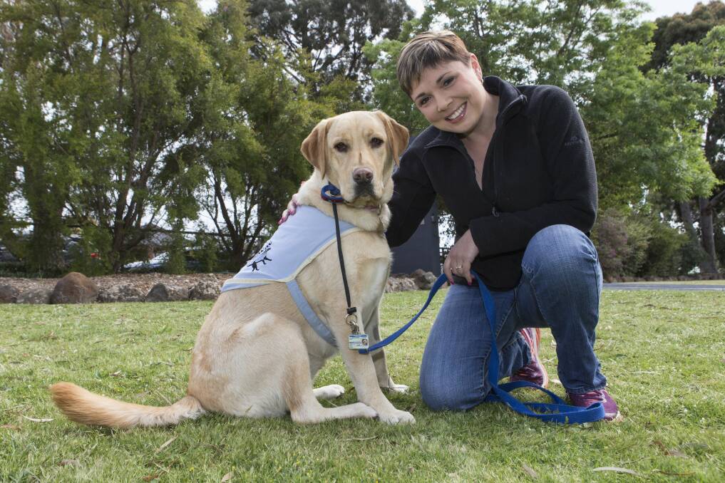 Ararat West Primary School uses therapy dogs to help students stay calm ...